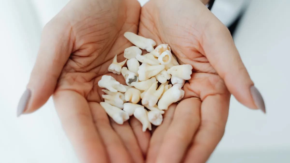 Zahnarzt zeigt einer Patientin verschiedene Modelle für Zahnersatz