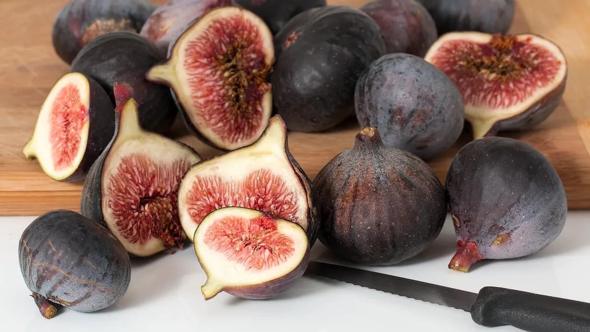 Querschnittsmodell eines Zahnimplantats unter einer Krone