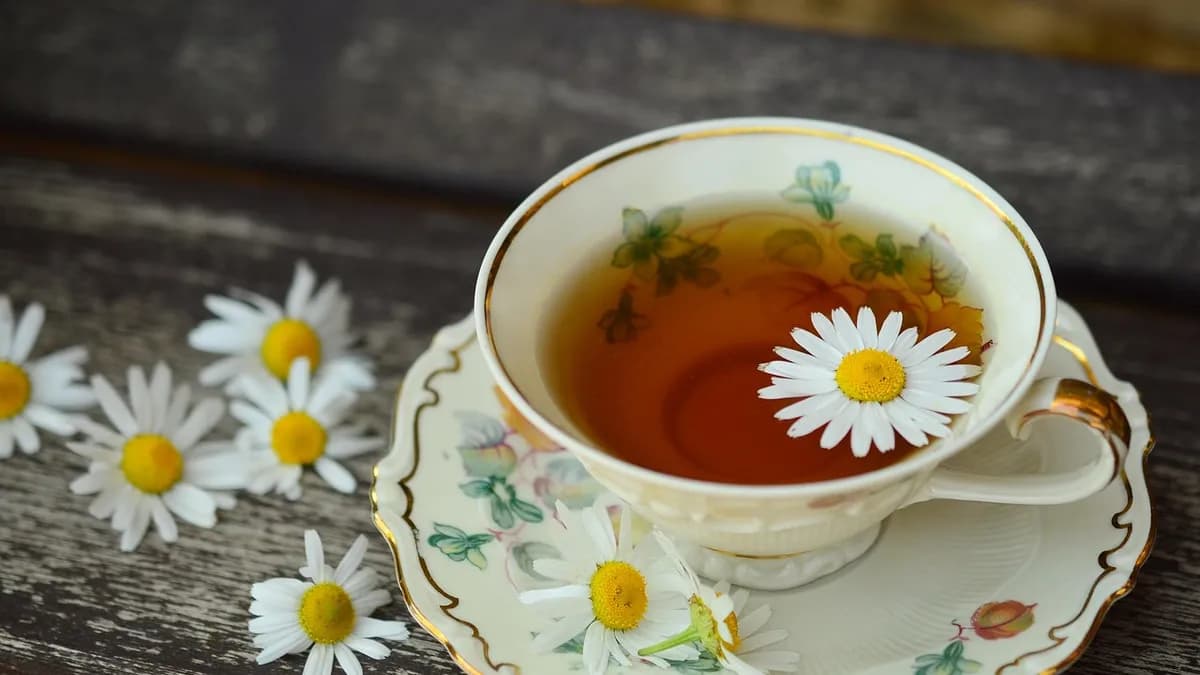 Corona antigua de metal-porcelana que muestra una línea gris en el borde de la encía