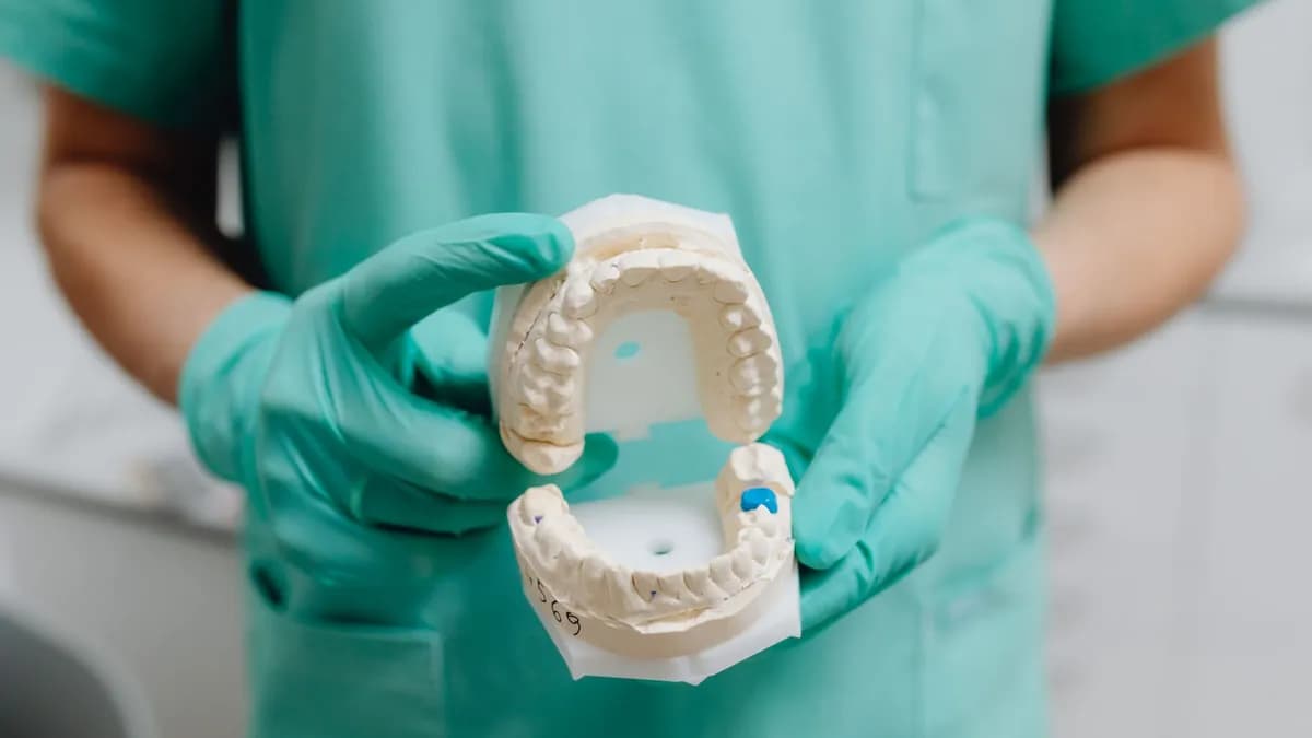 Modell einer festen provisorischen Brücke zwischen zwei Implantat-Reisen